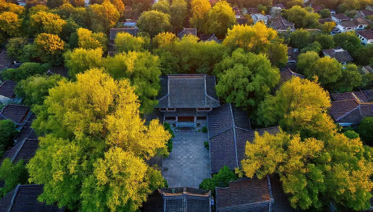 西园人家 - 精选推荐背景